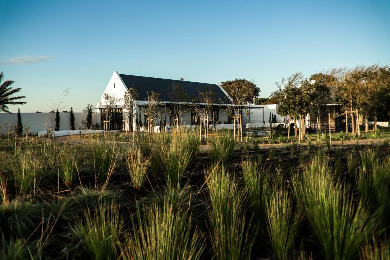 Vergenoegd Loew Boutique Hotel & Spa Cape Town Eksteriør bilde